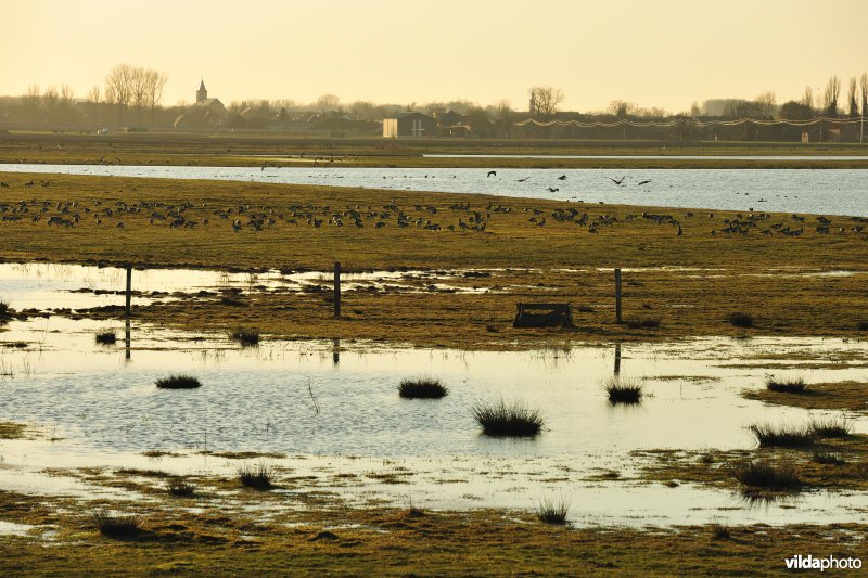 Putten West