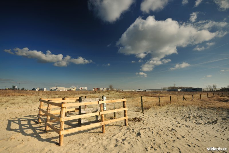 Vlakte van Zwijndrecht