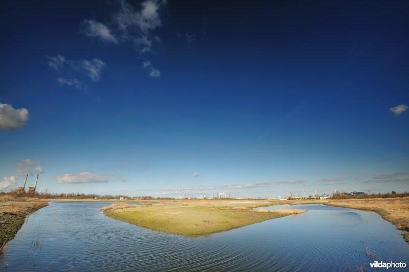 Vlakte van Zwijndrecht