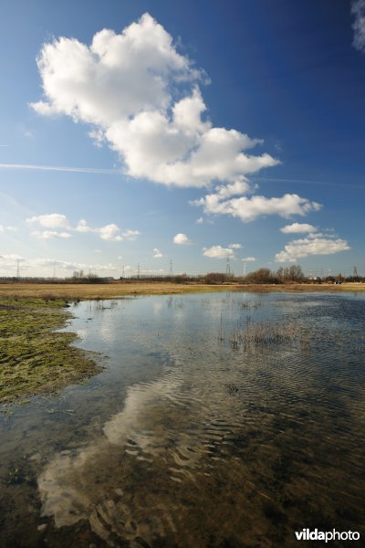 Vlakte van Zwijndrecht