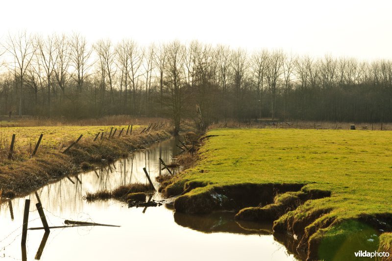 KBR polder