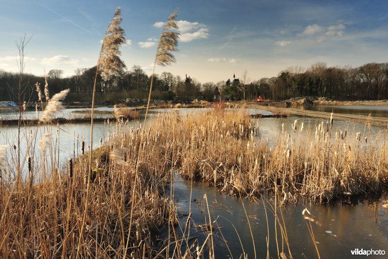 Schiphoekpolder