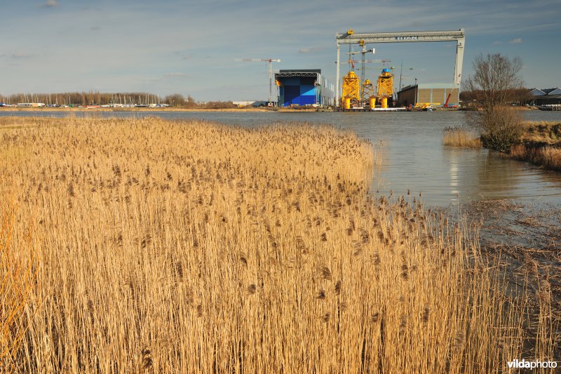 Schiphoekpolder