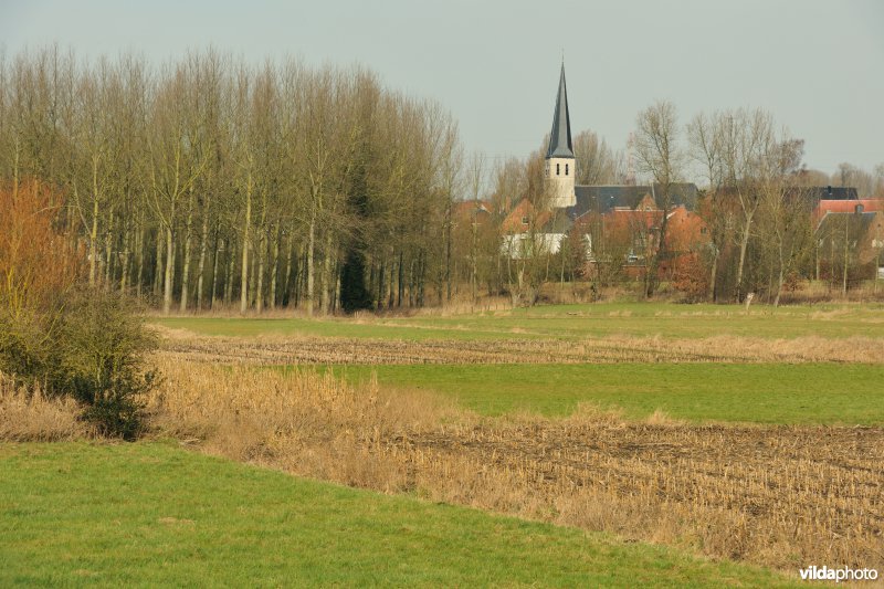 Groot Broek