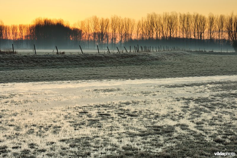 Weijmeerbroek