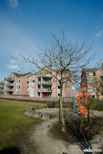 Blazenboom