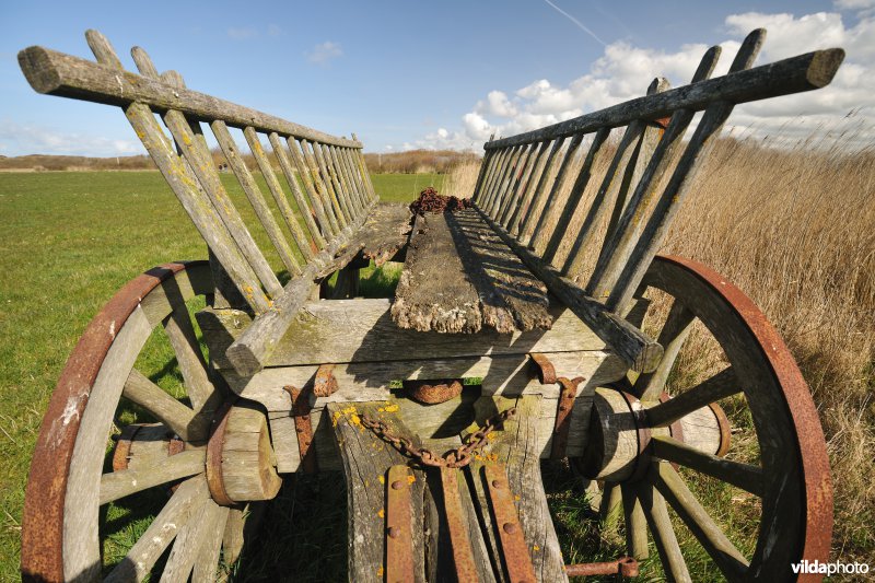 Archeologische site Walraversijde