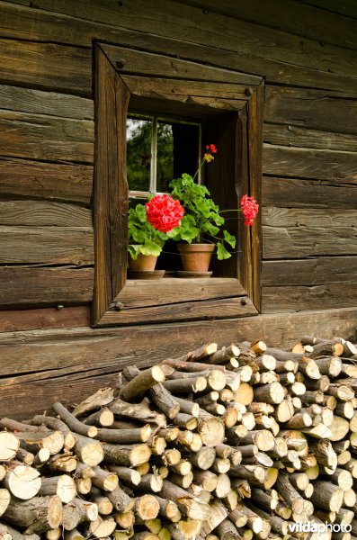 Brandhout voor een houten huis