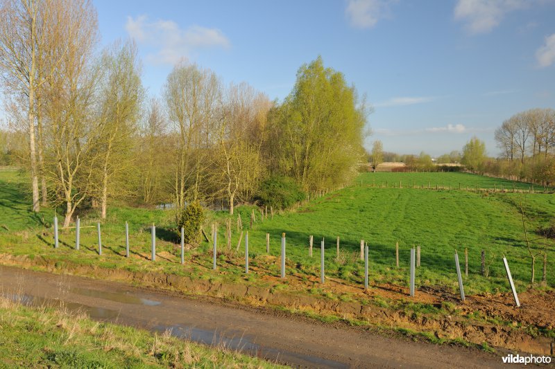 Kalkense Meersen - reeks 2