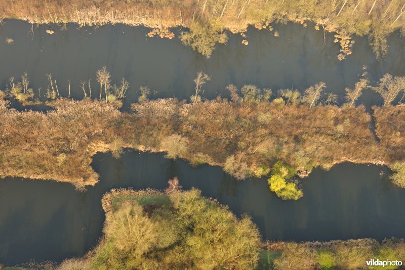 Oude Schelde Donk