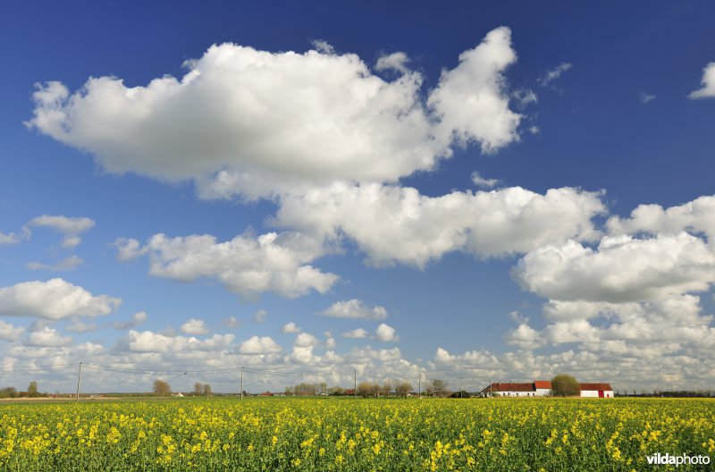 Polders rond Sint-Pieters-Kapelle