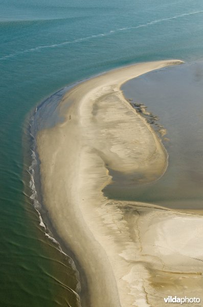 Getijden op het Wad leggen uitgestrekte slikken bloot