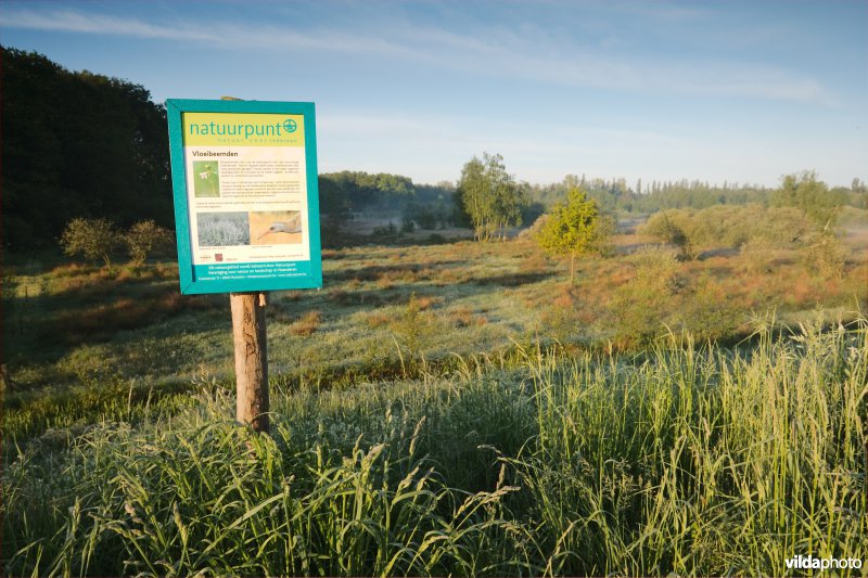 Natuurgebied Vloeibeemden