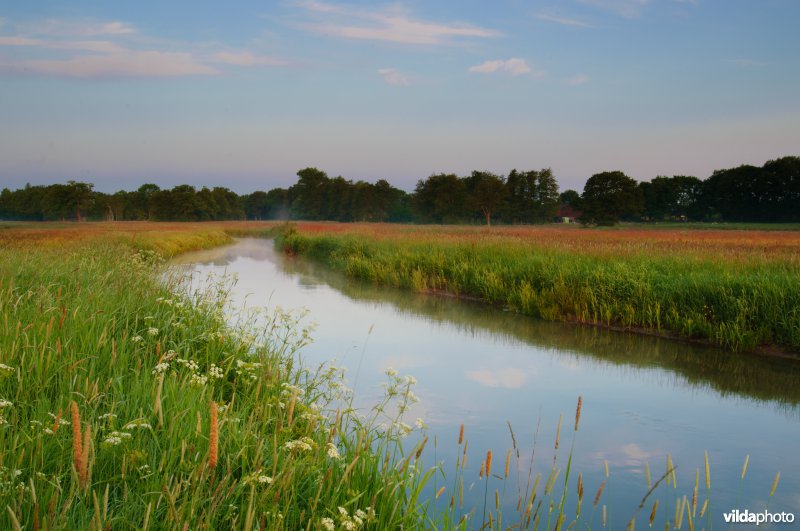 Beekdallandschap Drentse Aa