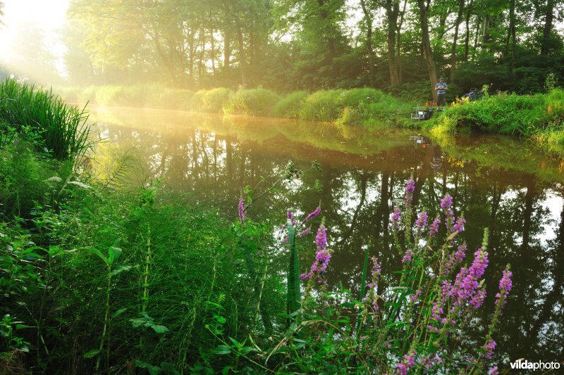 Visser aan de Palingbeek