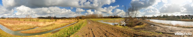 Sigma-dijkwerken aan de Schelde