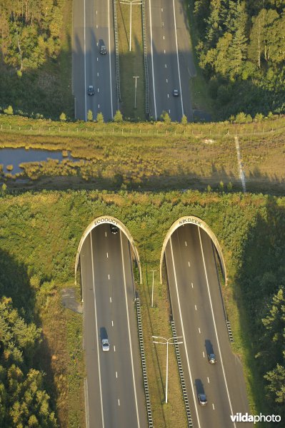 Ecoduct Kikbeek