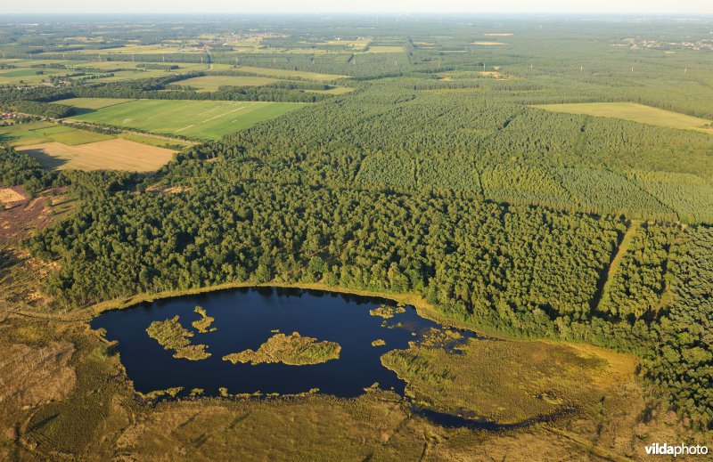 Monniksvijver op de Donderslagheide