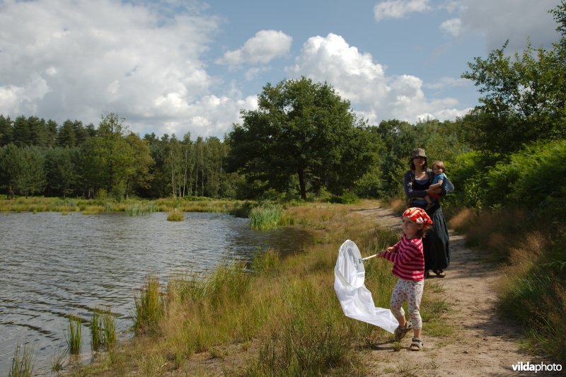Op stap in de natuur