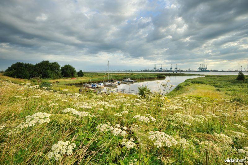 Haven van Oude Doel