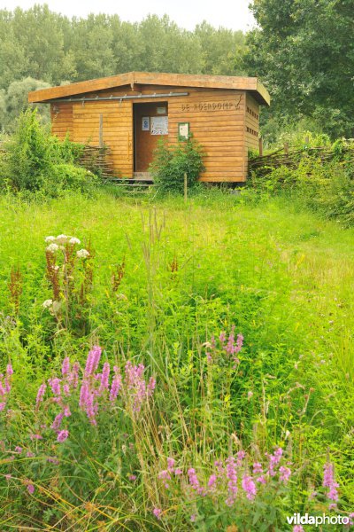 Natuurreservaat de Doode Bemde