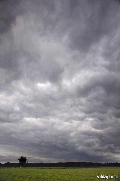 Dreigende wolken boven een akker