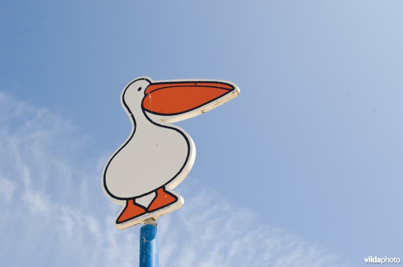Strandbord van een pelikaan