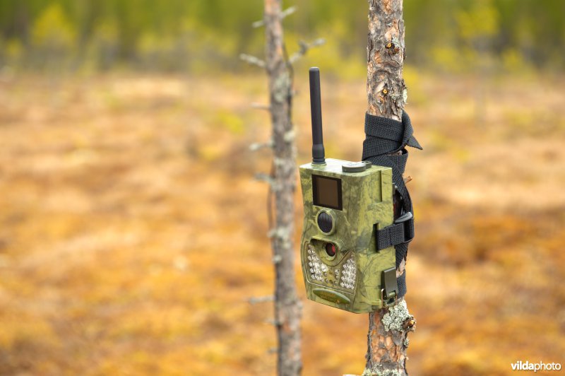 Trail-camera aan dennetje