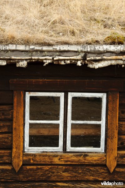 Noors huis met groendak