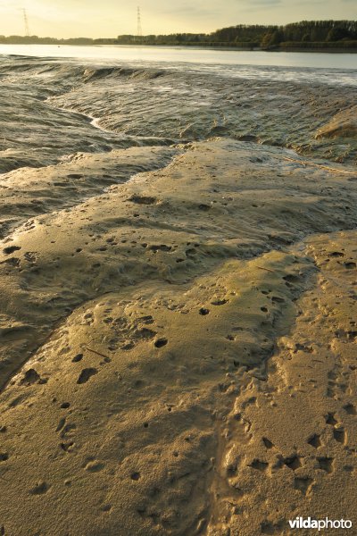 Schorren aan de Notelaer