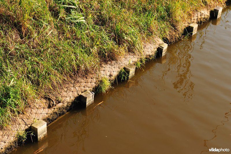 Ecologische oeverafwerking