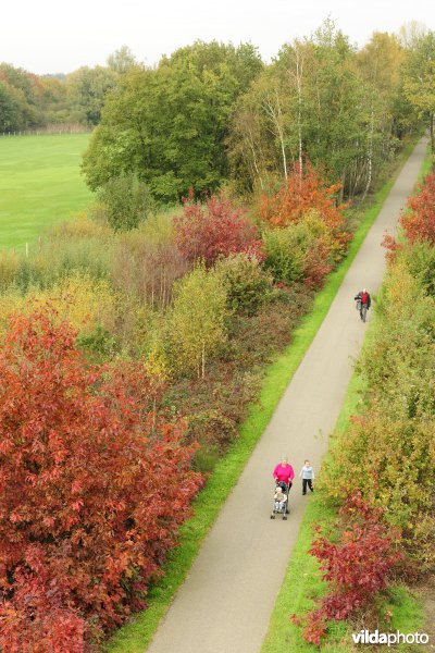 Fietsers op het Bels Lijntje