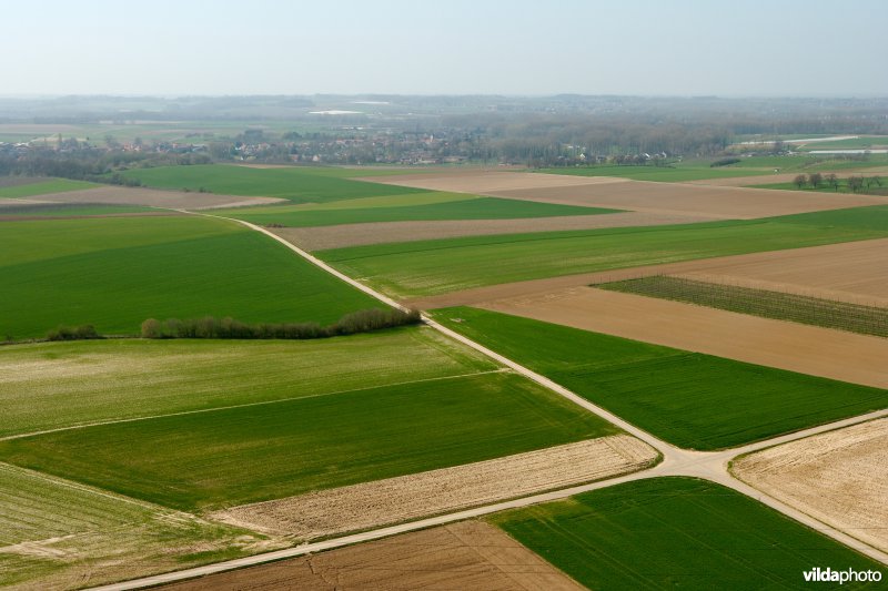 Grootschalige landbouw op het leemplateau