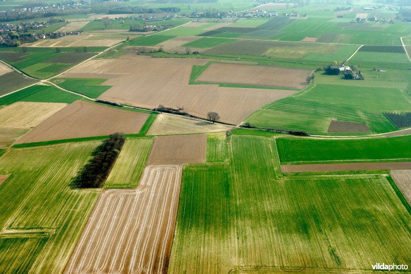 Intensief landbouwgebied