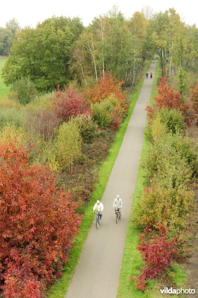 Fietsers op het Bels Lijntje