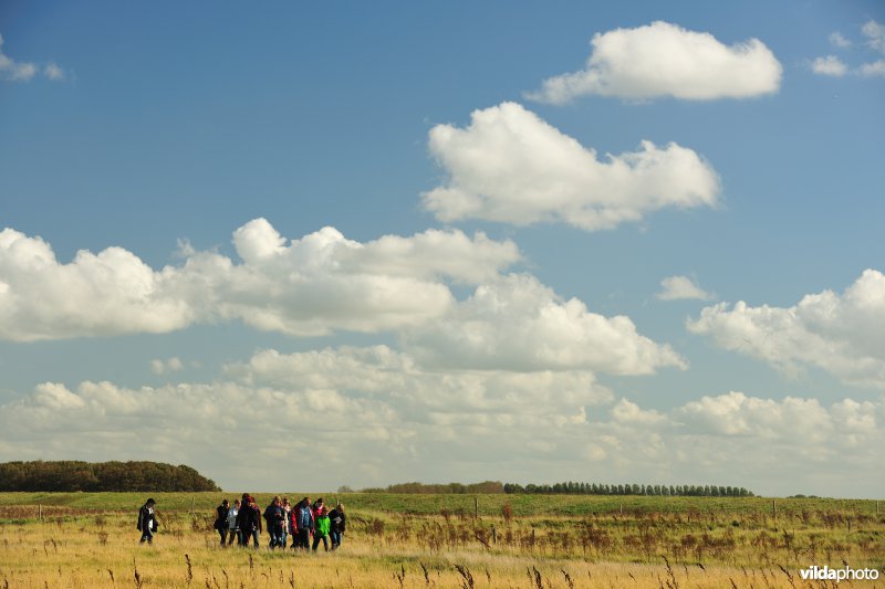 Het Zwin