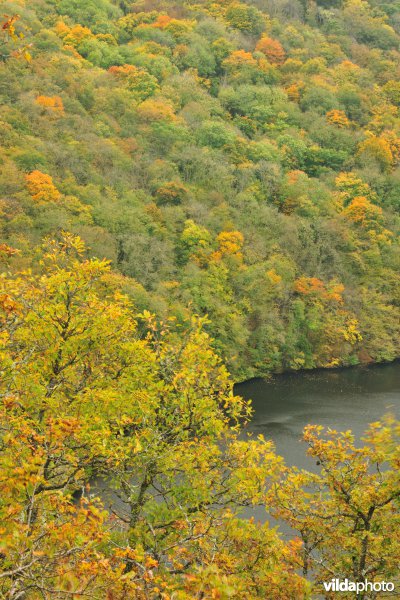 Vallei van de Ourthe