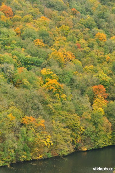 Vallei van de Ourthe