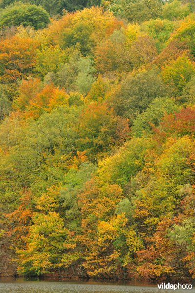 Stuwmeer van Nisramont