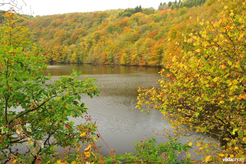 Stuwmeer van Nisramont