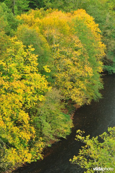 Vallei van de Ourthe