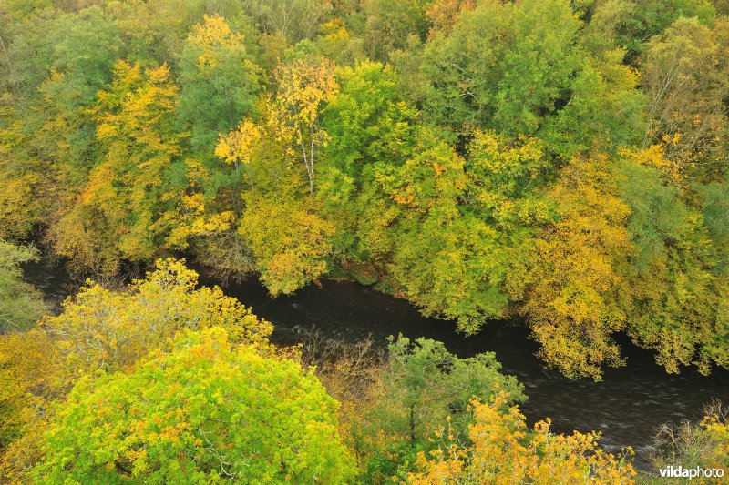 Vallei van de Ourthe