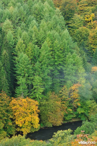 Vallei van de Ourthe