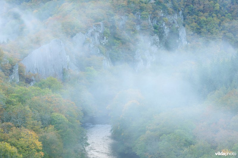 Vallei van de Ourthe