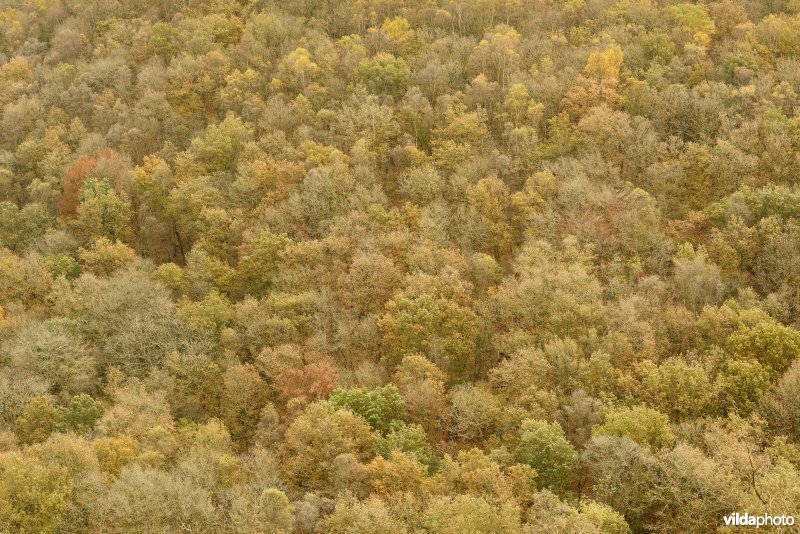 Vallei van de Ourthe