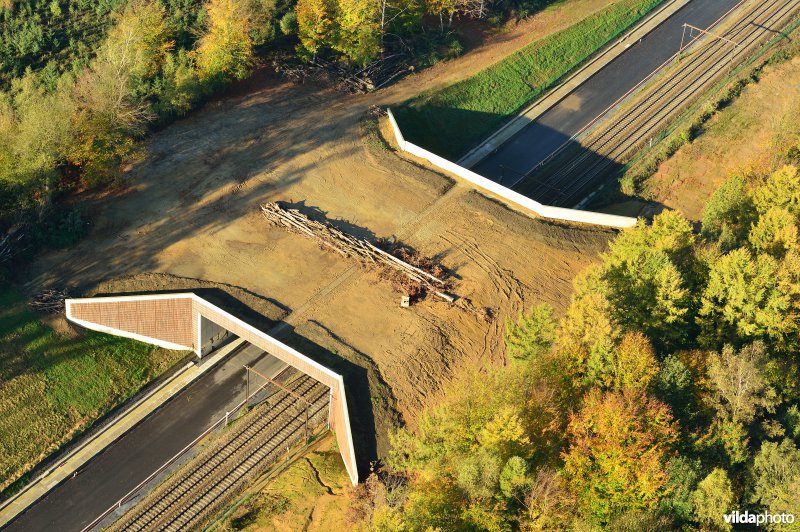 Ecoduct in het Zoniënbos over spoorweg