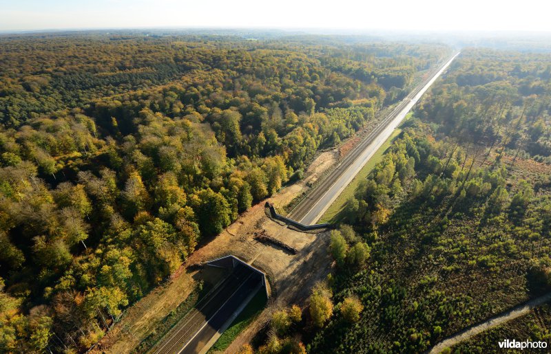 Ecoduct in het Zoniënbos over spoorweg