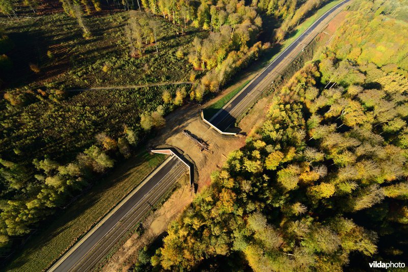 Ecoduct in het Zoniënbos over spoorweg