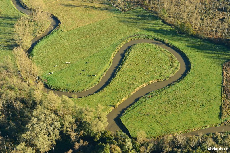 Natuurreservaat de Doode Bemde