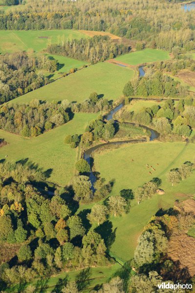 Natuurreservaat de Doode Bemde